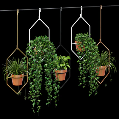 Ampelous plant — Ver 1