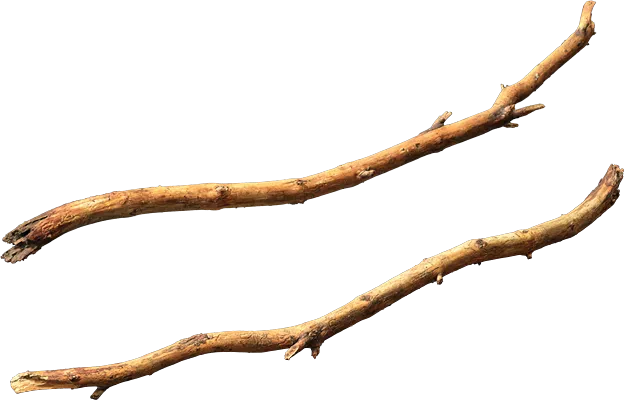 nordic forest tree branch small 002 — Скачать