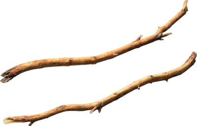 nordic forest tree branch small 002 — Скачать
