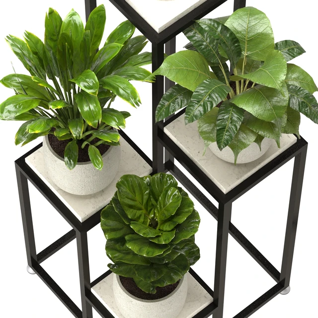 Collection Indoor Plants Nim08 — Скачать