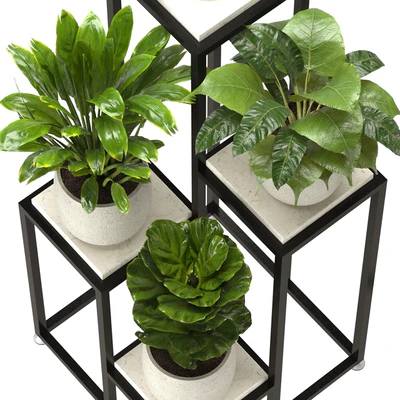 Collection Indoor Plants Nim08 — Вид 5