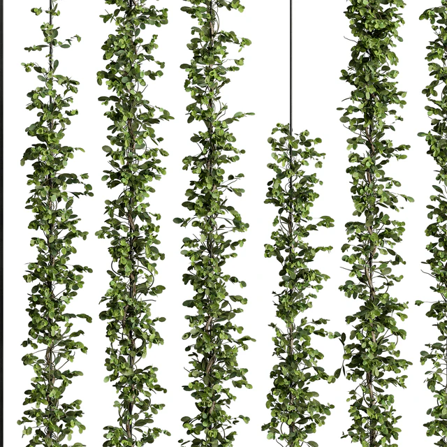 Green Wall - Plants partition 06 — Descargar