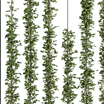Green Wall - Plants partition 06 — Ver 3