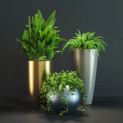 Plant Set # 1 — Ver 1