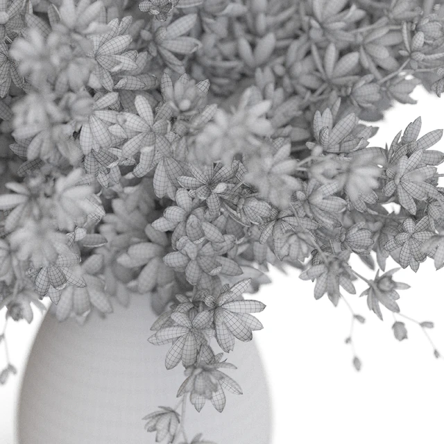 Bouquet 52 — Descargar