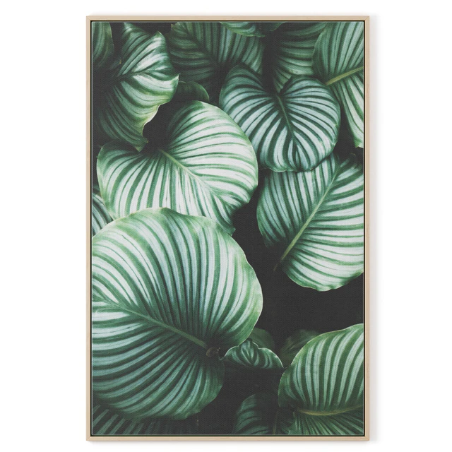 Poster "Tropics" — Descargar
