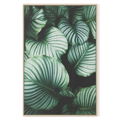 Poster "Tropics" — Ver 3