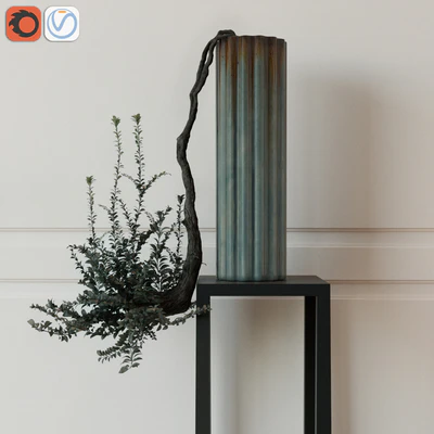 Plant in a vase — Descargar