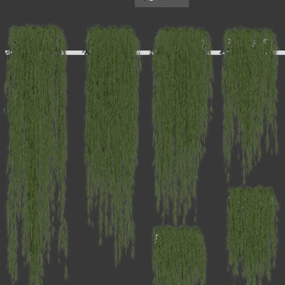 Plants for shelves. 6 items — Ver 3