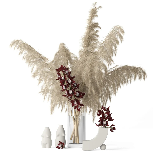 Pampas grass and Cymbidium — Скачать