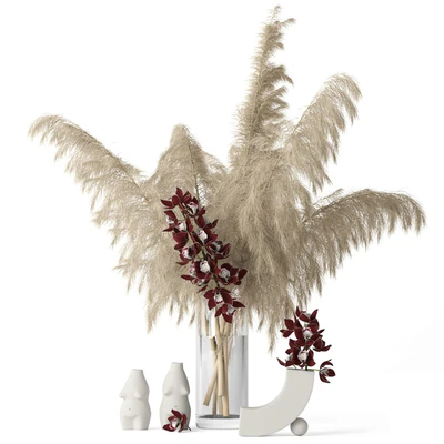 Pampas grass and Cymbidium — Вид 1