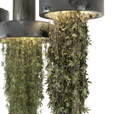 indoor Plants Collection set 12 hanging65 — Ver 2