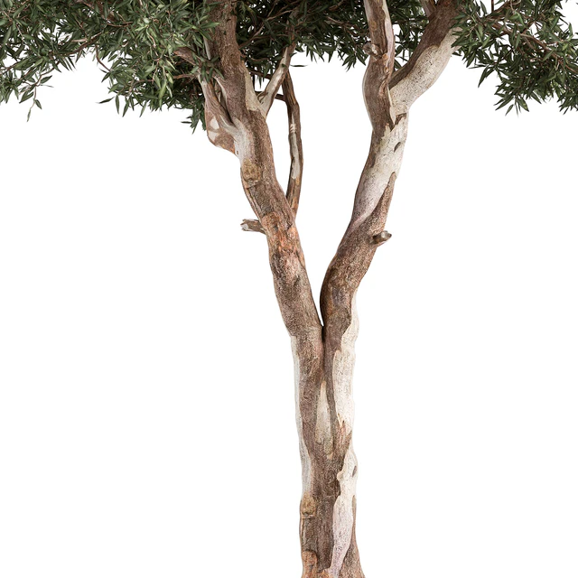 RedGum Tree - Tree Set 175 — Скачать