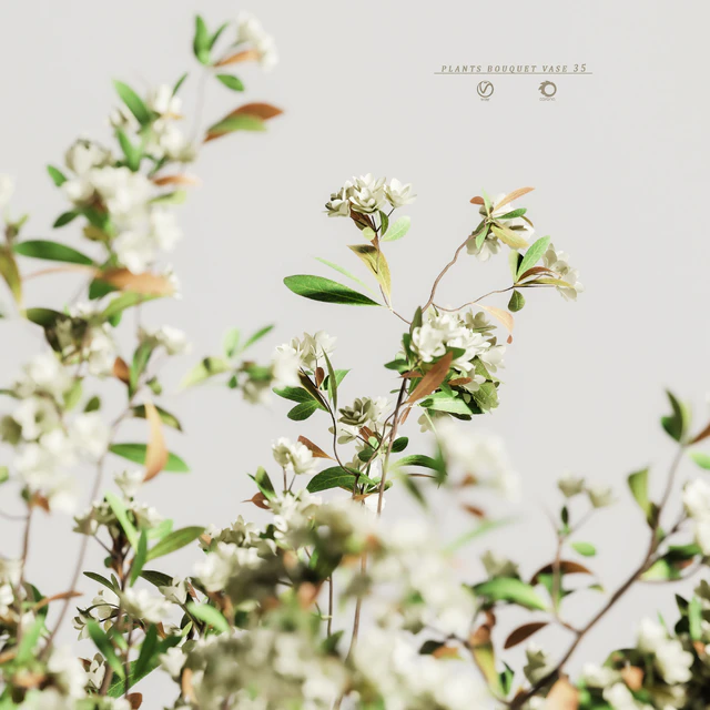 plants bouquet vase 35 — Descargar