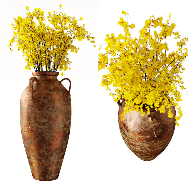 Hydria \ Oncidium — Descargar