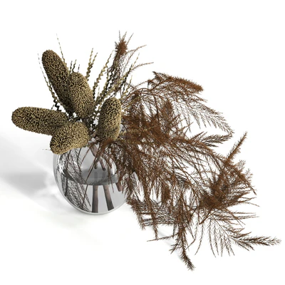 Dry banksia and fern — Ver 2