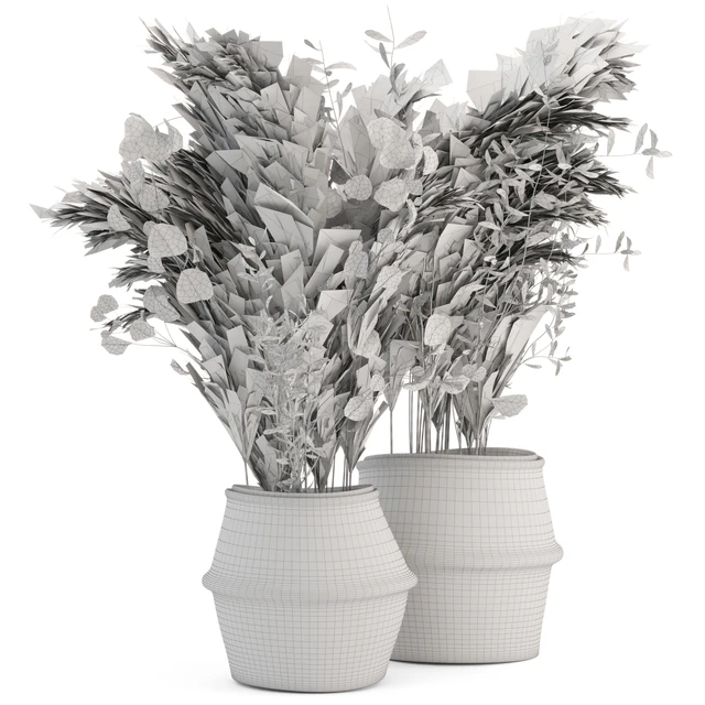 Dry plants 20 - Dried Plantset Pampas set with Wicker Basket — Descargar