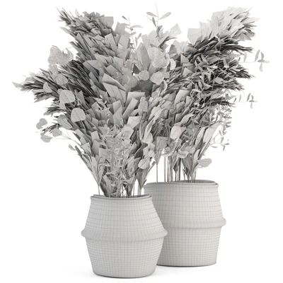 Dry plants 20 - Dried Plantset Pampas set with Wicker Basket — Ver 4