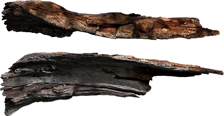 tree bark 018 — Скачать