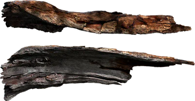 tree bark 018 — Скачать