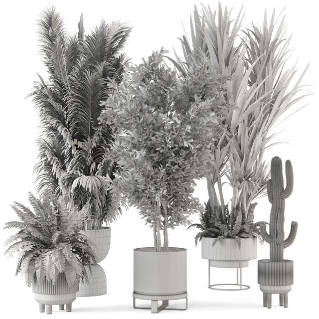Indoor Plants in Ferm Living Bau Pot Large - Set 362 — Скачать