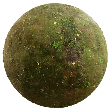 mossy ground 008 — Descargar