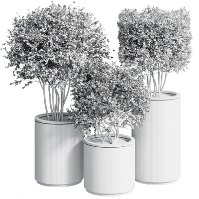 Outdoor Plant 25 — Вид 4