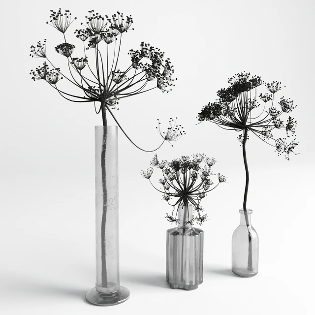Bouquet Set 01 Vase Glass Dry Hogweed — Скачать