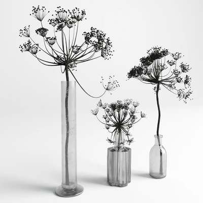 Bouquet Set 01 Vase Glass Dry Hogweed — Вид 4