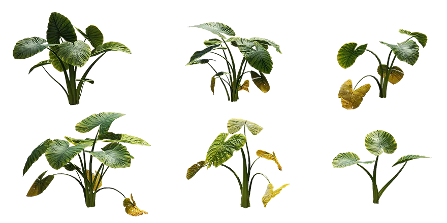 taro 002 — Скачать