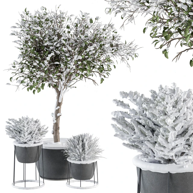 Outdoor Plants in Pot Snowy - Set 346 — Скачать