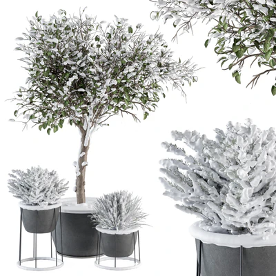 Outdoor Plants in Pot Snowy - Set 346 — Вид 1