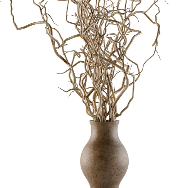 Bouquet Set 19 - Dried twisted branches — Скачать