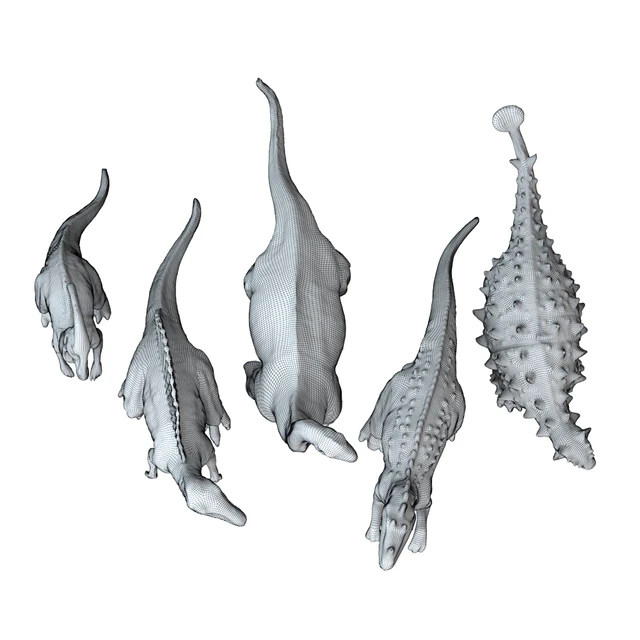 Collection of Five Dinosaur Toys — Descargar