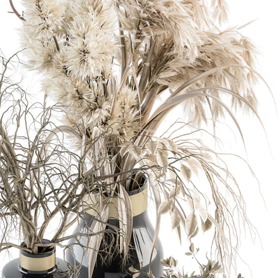 Dry plants 70 - Dried Pampas Set — Ver 3