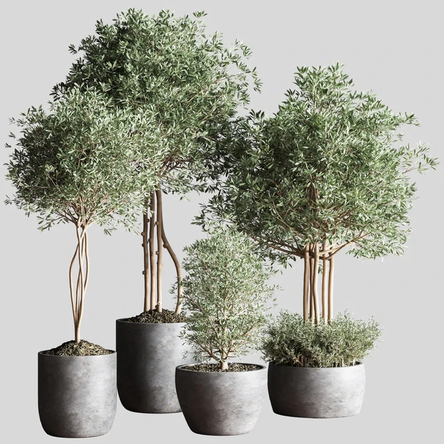 Indoor Plant Set12 — Скачать
