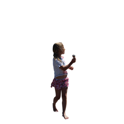 2466 — Скачать