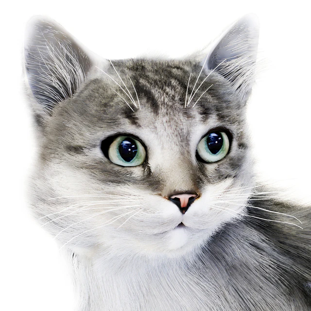 Relaxing cat 1 — Download