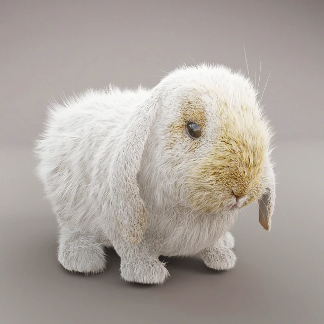 Rabbit — Descargar