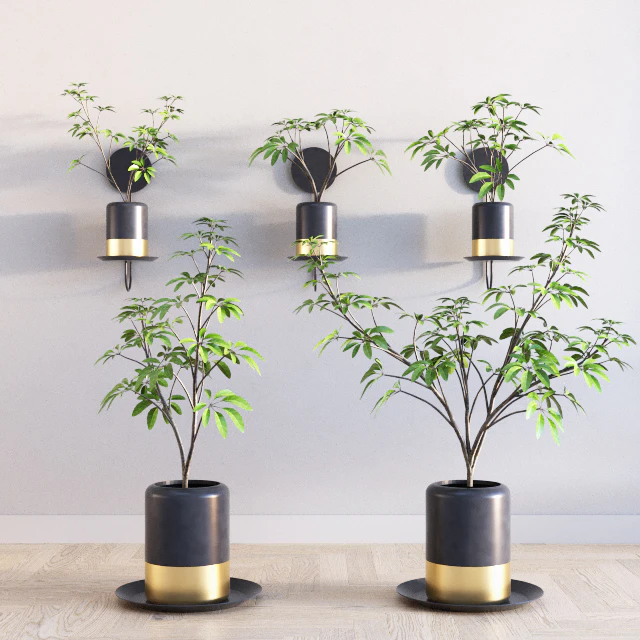 Deco Plants Set 1 — Descargar