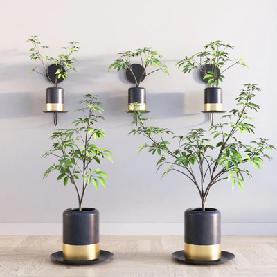 Deco Plants Set 1 — Descargar