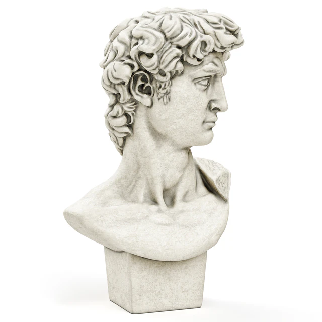 Bust of David Sculpture Michelangelo — Descargar
