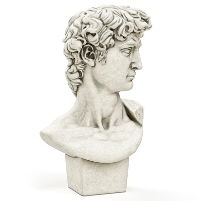 Bust of David Sculpture Michelangelo — Ver 3