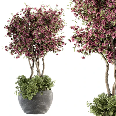 Outdoor Plant Set 352- Purple Flower Tree in Old Pot — скачать