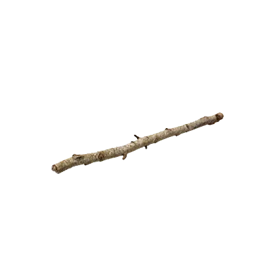 tree debris 005 — Скачать