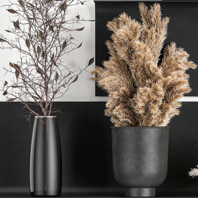 A set of bouquets of dried flowers in vases on a black metal shelf made of Pampas branches, reeds. 119 — Descargar