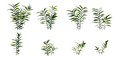 ginger lily 001 — Скачать