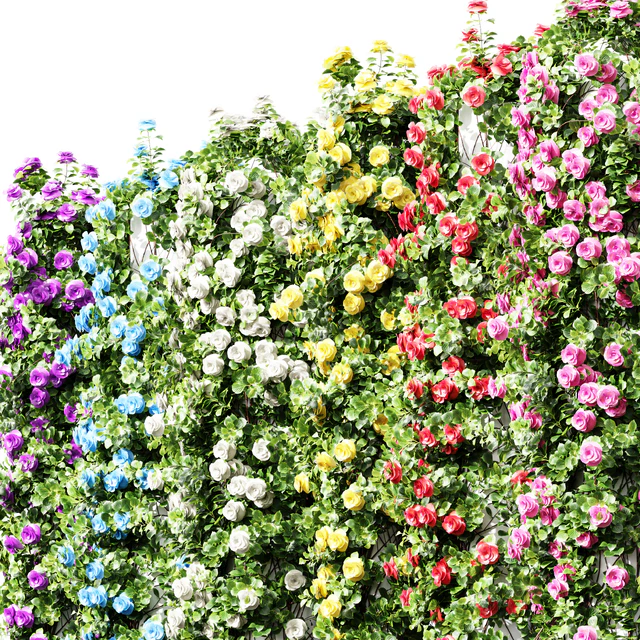 New Plant High detail Climbing Roses Cylinder Columns — Скачать