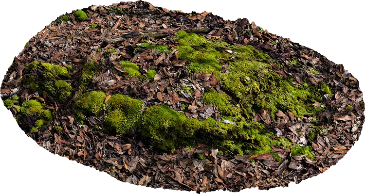 mossy rocky ground 015 — Descargar