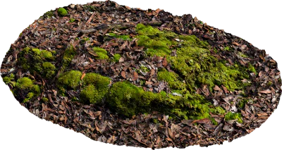 mossy rocky ground 015 — Descargar